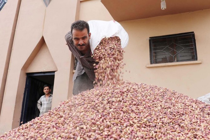 Antep fıstığı destek kapsamına alınsın
