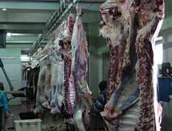 Bingöl Merhamet Eli, Yüzlerce Aileye Et Yardımı yapacak