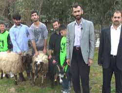 Mustazaflar Cemiyeti'nden Cezaevindeki Müslümanlar Adına Kurban