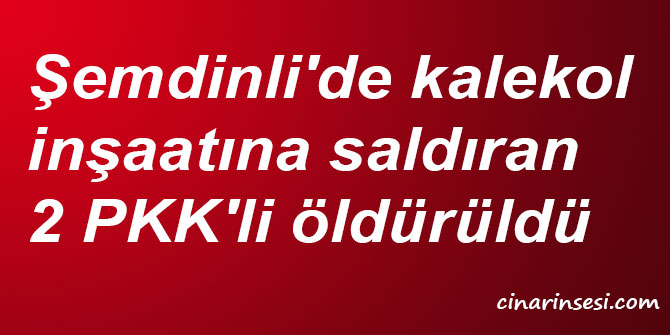 Hakkari Şemdinli'de kalekol inşaatına saldıran 2 PKK'li öldürüldü