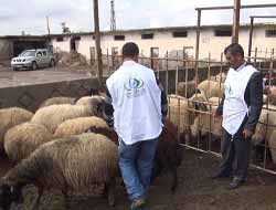 Avrupa'dan Batman'a Kardeşlik Köprüsü