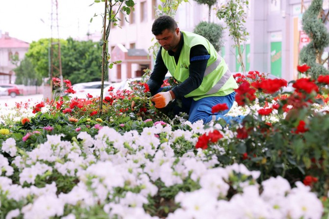Van’da cadde ve kavşaklar çiçek açtı