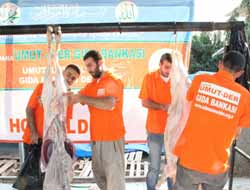 Adana Umut Der Gıda Bankası'ndan Toplu Kurban Kesimi (Video  Foto)