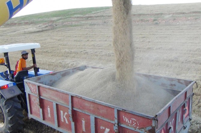 Baranên dawî yên ku dibarin zirar dan zadan