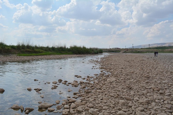 Garzan Çayı’nda su kesilince binlerce balık telef oldu