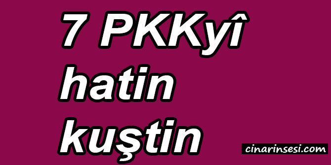 7 PKKyî hatin kuştin