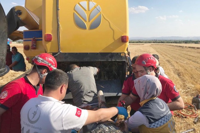 Şanlıurfa'da biçerdöverin içine düşen işçi ağır yaralandı