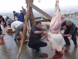 Siirt'te 530 Aileye Kurban Eti Yardımı (Foto)