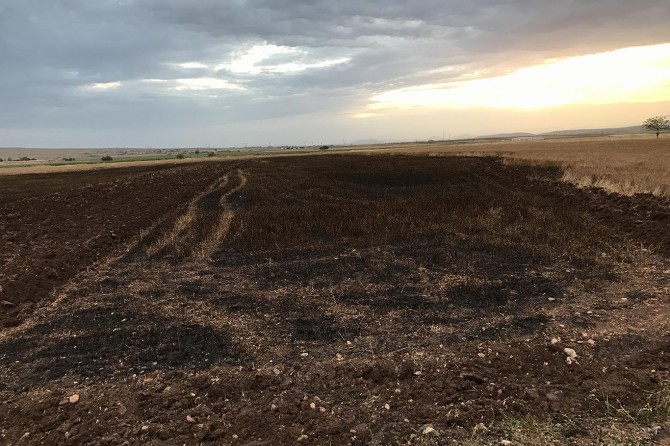 Diyarbakır Ekinciler köyünde yıldırımın düştüğü tarlada 15 dönüm buğday kül oldu