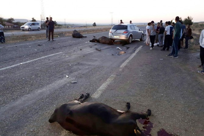 Otomobîl da nav garanê: Qîza ku şivantî dikir mir û 2 kes birîndar bûn