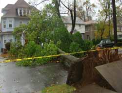 Sandy gitti, yeni kasırga yolda