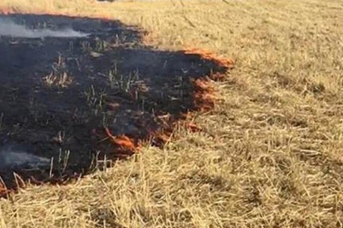 Anız yakma cezası 5 kat artacak