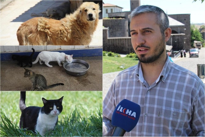 Konuşamayan hayvanlar hakkında Allah’tan korkun