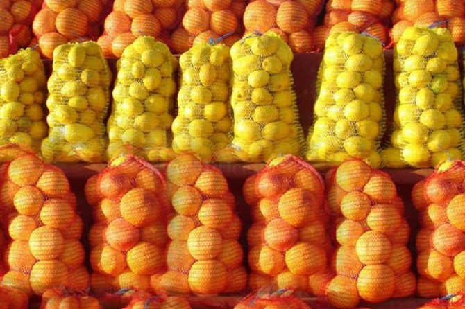 Başbakan Yıldırım'dan patates-soğan açıklaması