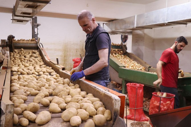 Rekabet Kurumundan patates ve soğan açıklaması