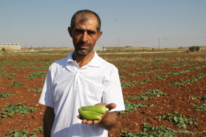 Midyat acuru tezgâhlara çıktı