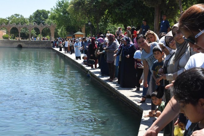 Artuklu Belediyesinin kültür turları devam ediyor