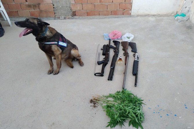 Mardin’de asayiş olayları