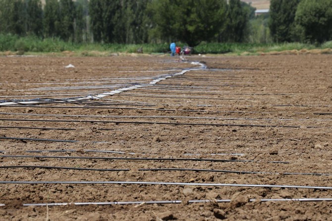 Bingöl'de 170 bin dönüm alanda üretim yapılamıyor