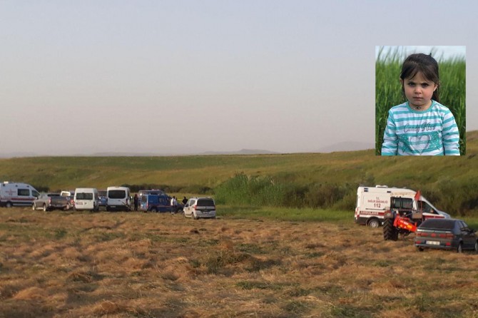 Leylaya biçûk mirî hat dîtin