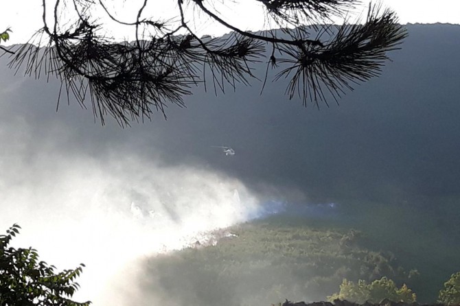 ​İstanbul Kartal'daki Aydos Ormanında yangın