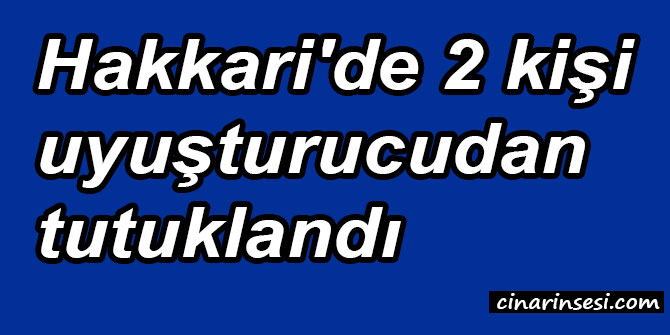 Hakkari'de 2 kişi uyuşturucudan tutuklandı