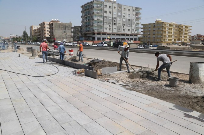 Şırnak Silopi'de kavurucu sıcaklığa rağmen çalışıyorlar