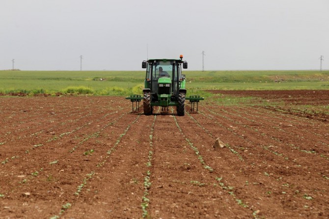 Bingöllü çiftçilere mazot müjdesi