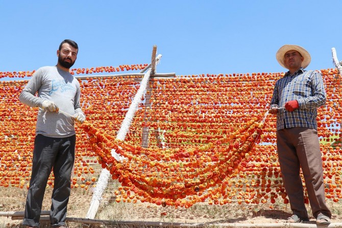 Gaziantep'te kurutmalık sebze sezonu başladı