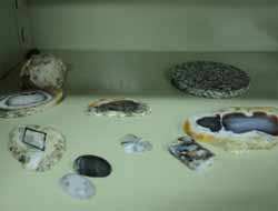 Batman'da Süs Taşı İşleme Kursu