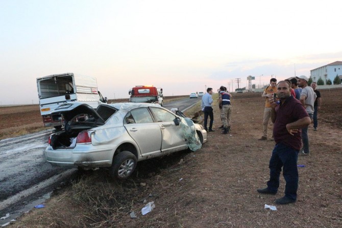 Mardin Kızıltepe'de köpeğe çarpmamak için kaza yaptı: 1 ölü 7 yaralı