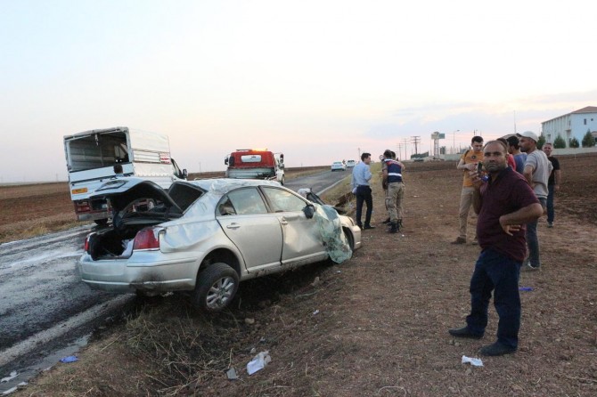 Ji bo li kuçikê neqelibe qeza kir: Mirîyek 7 birîndar