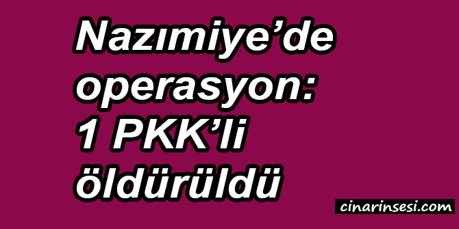Tunceli Nazımiye’de operasyon: 1 PKK’li öldürüldü