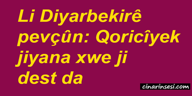 Li Diyarbekirê pevçûn: Qoricîyek jiyana xwe ji dest da
