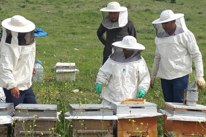 Siirt Şirvan’da arı yetiştiriciliği kursu açıldı