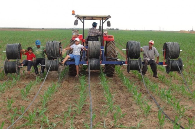Mardin'de çiftçiler damlama sulama sistemine geçiyor