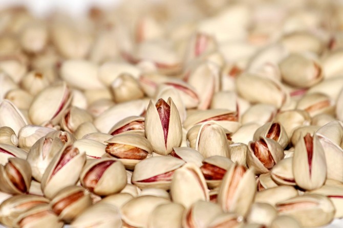 Siirt fıstığı dünya pazarında