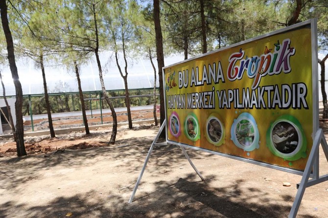 Gaziantep'te tropik kelebek merkezi kuruluyor