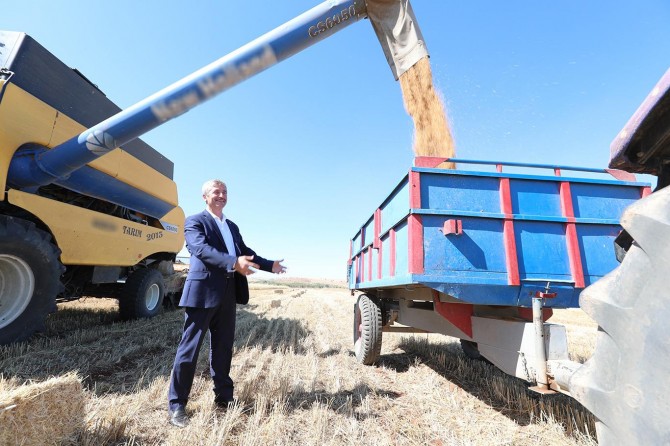 Gaziantep'te buğday hasadı başladı
