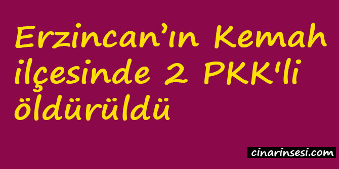 Erzincan Kemah'da 2 PKK'li öldürüldü