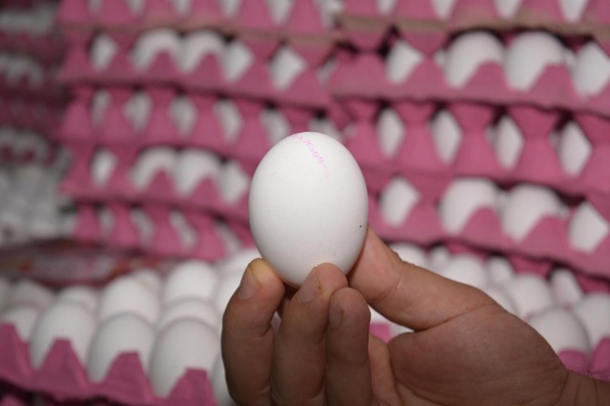 Yumurtaya bir yılda yüzde 110 zam geldi