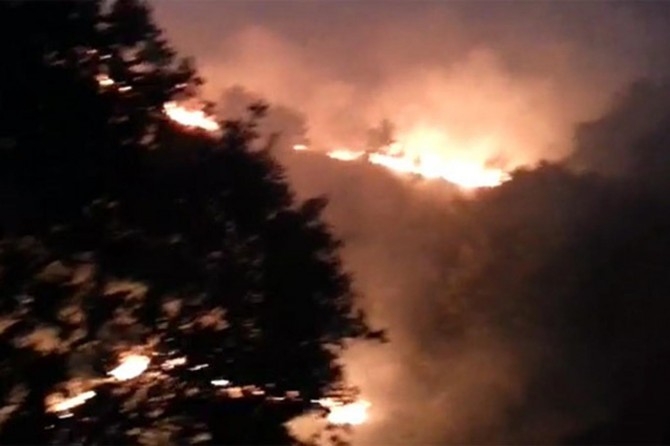 Mardin Nusaybin'de kırsal alanda yangın