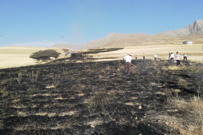 Van'da buğday ekili tarla küle döndü