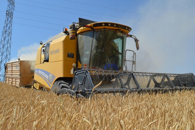 Bitlis’te buğday hasadı çiftçinin yüzünü güldürdü