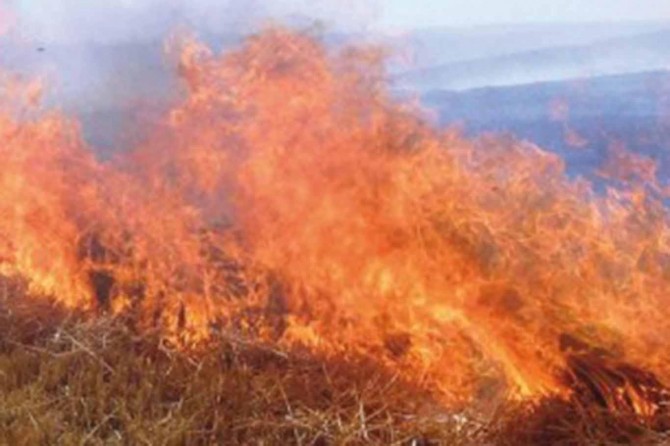 Siirt'te çiftçiler anız yangınlarına karşı uyarıldı