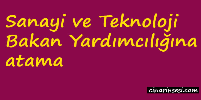 Sanayi ve Teknoloji Bakan Yardımcılığına atama