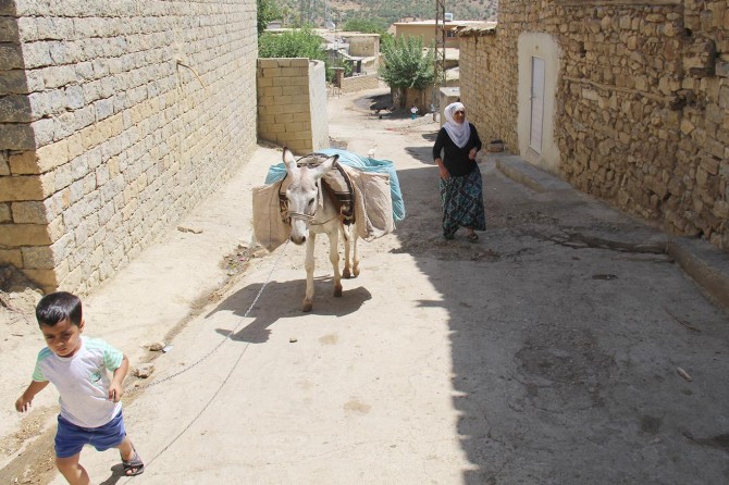 They meet water needs with donkeys in the 21st century