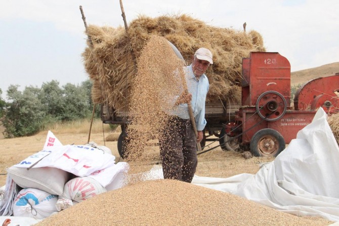 Van'da çiftçilerin kış hazırlığı başladı