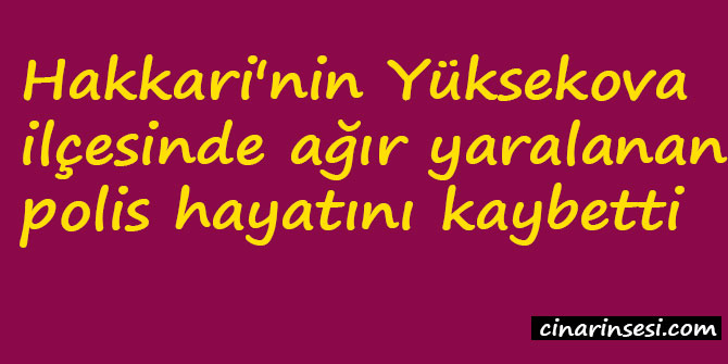 ​Hakkari Yüksekova'da ağır yaralanan polis hayatını kaybetti