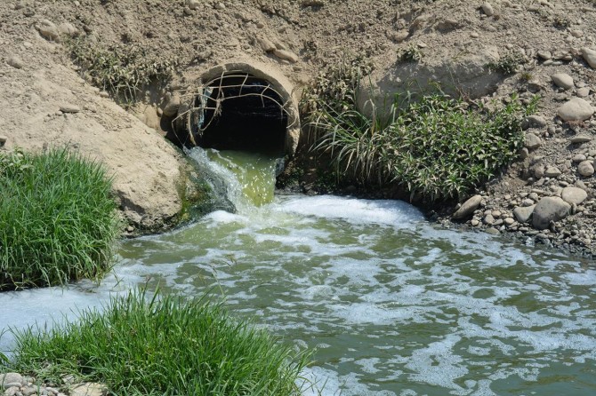 Batman Çayının kirletilmesine çevrecilerden tepki